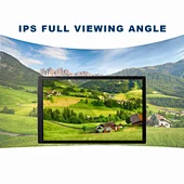 VS080ZJ-001 LCD Monitor